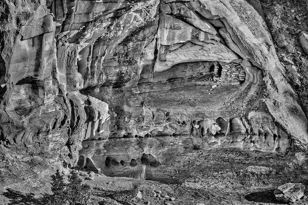 Ford, John 아티스트의 USA-Utah-National Park-Canyonlands National Park-Dead Horse Point-winter-landscape작품입니다.